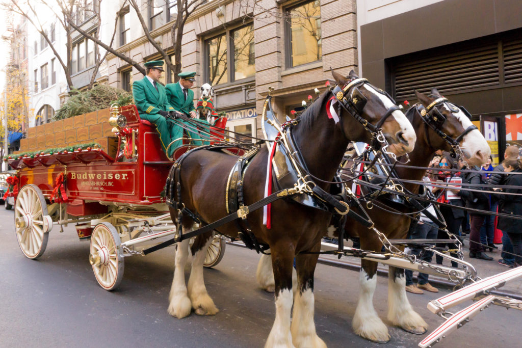 Navigating the NYC Holiday Permit Embargo Event Permits Special
